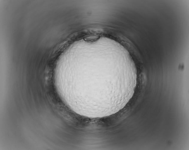 X0000114030372200910231904