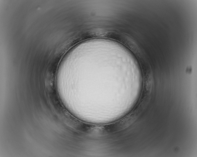 X0000114030374200910231904