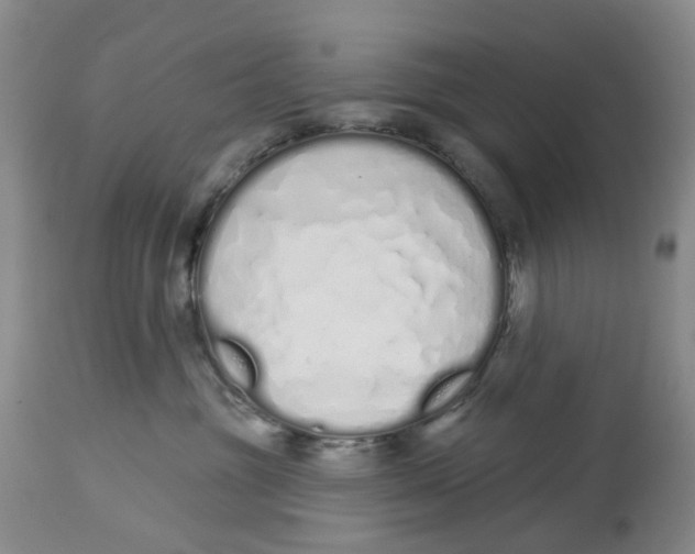 X0000114030381200910231904