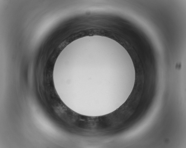 X0000114030382200910231904