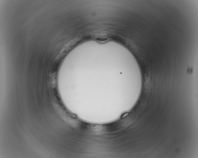 X0000114030383200910231904