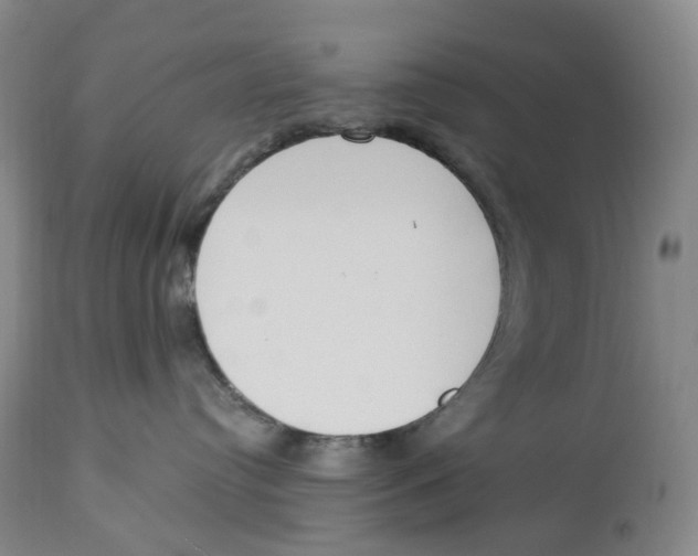 X0000114030384200910231904