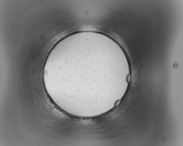 X0000114030385200910231904