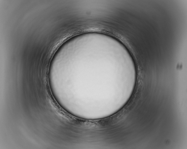 X0000114030386200910231904