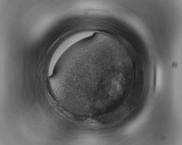 X0000114030387200910231904