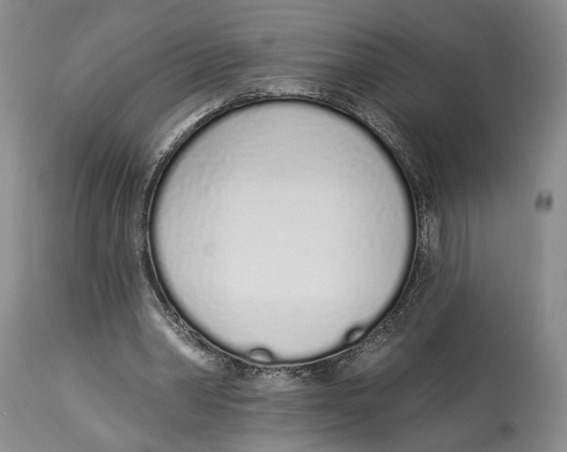 X0000114030390200910231904