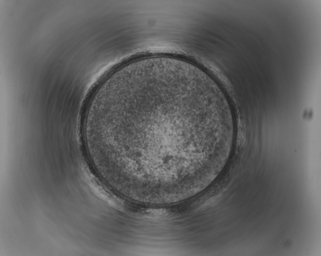 X0000114030391200910231904