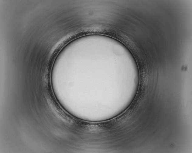 X0000114030392200910231904