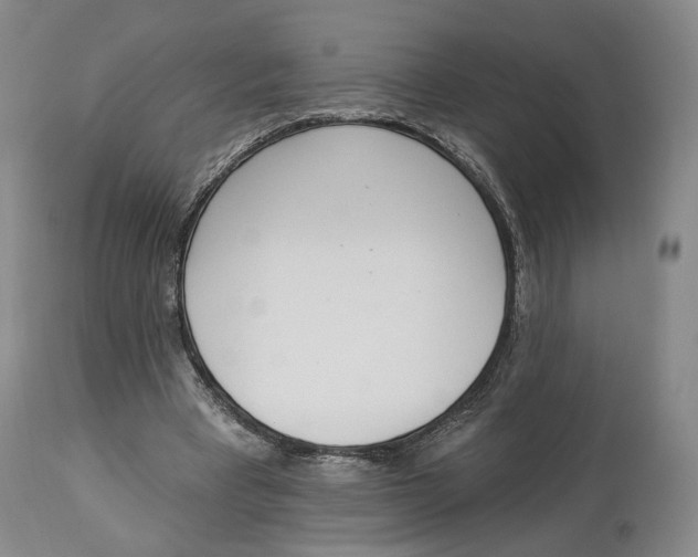 X0000114030393200910231904