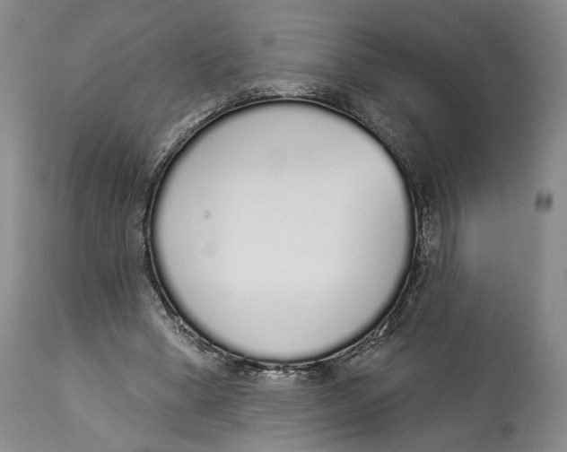 X0000114030394200910231904