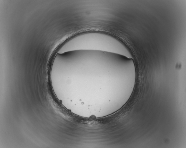 X0000114030395200910231903