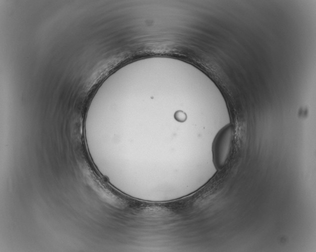 X0000114030397200910231903