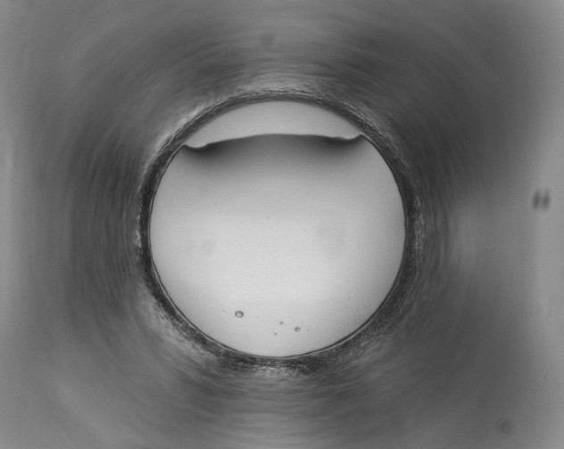 X0000114030399200910231903