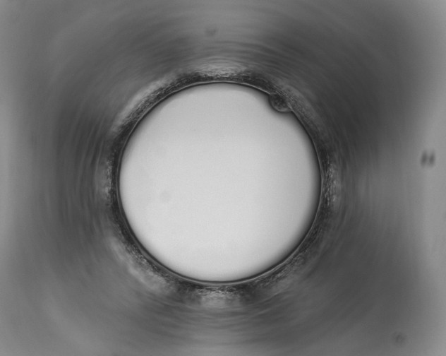 X0000114030400200910231903