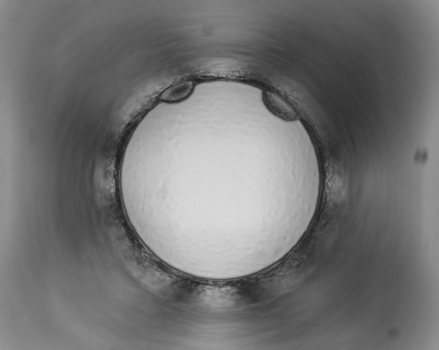 X0000114030403200910231903