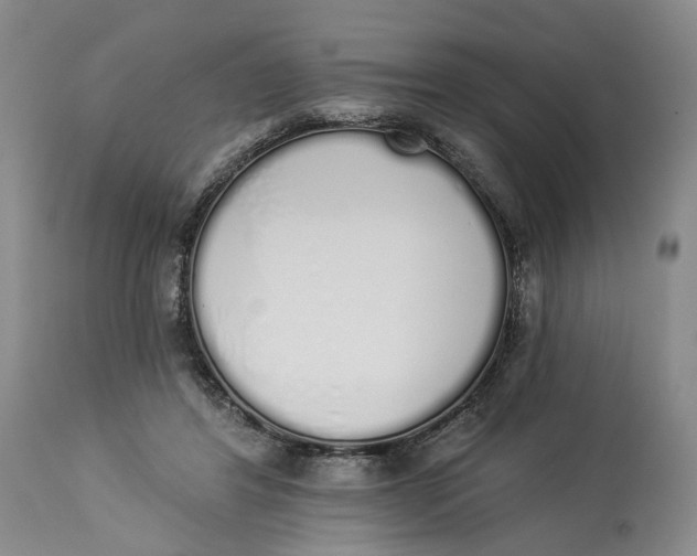 X0000114030404200910231903