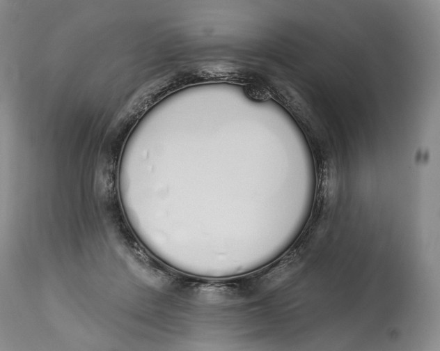 X0000114030408200910231903