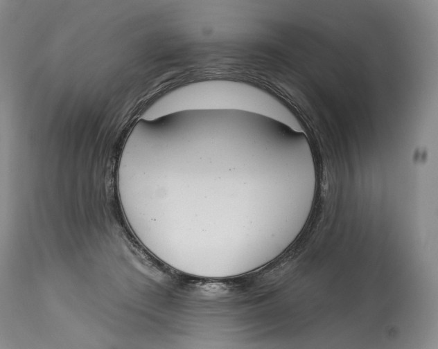 X0000114030409200910231903