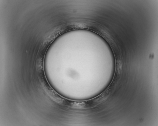 X0000114030410200910231903