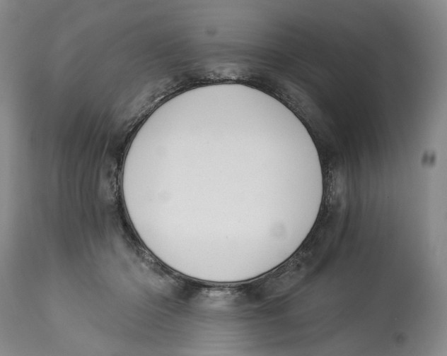 X0000114030414200910231903