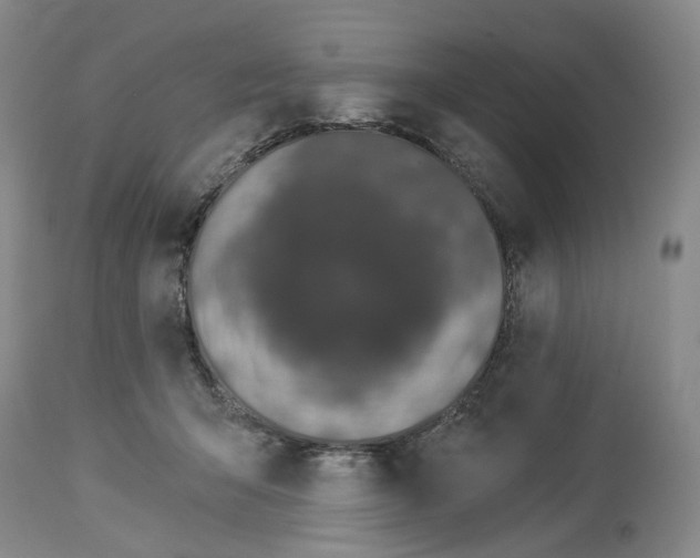 X0000114030415200910231903