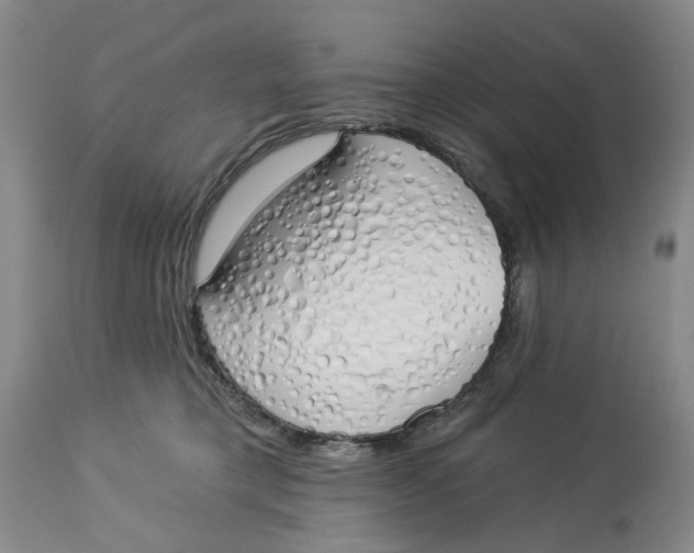 X0000114030421200910231903