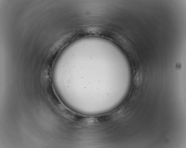 X0000114030424200910231903