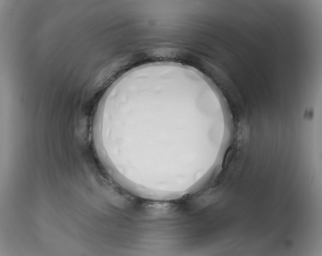 X0000114030428200910231903