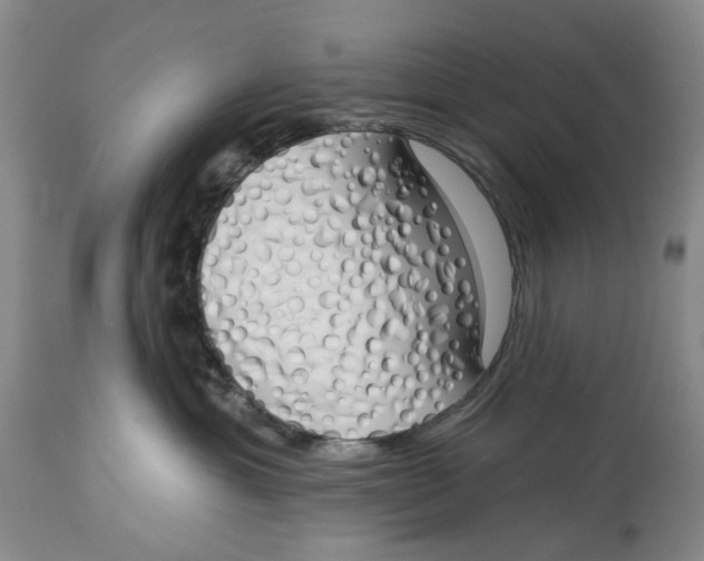 X0000114030429200910231903