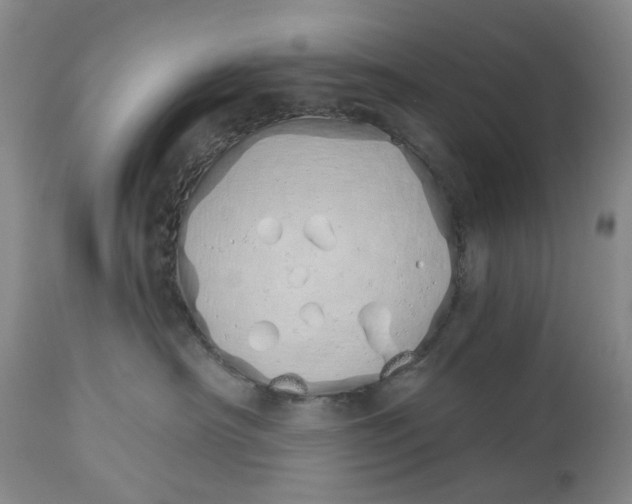 X0000114030430200910231903