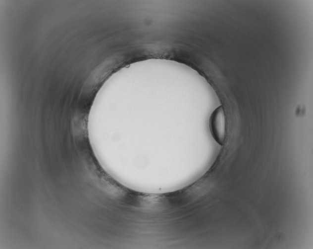 X0000114030432200910231903