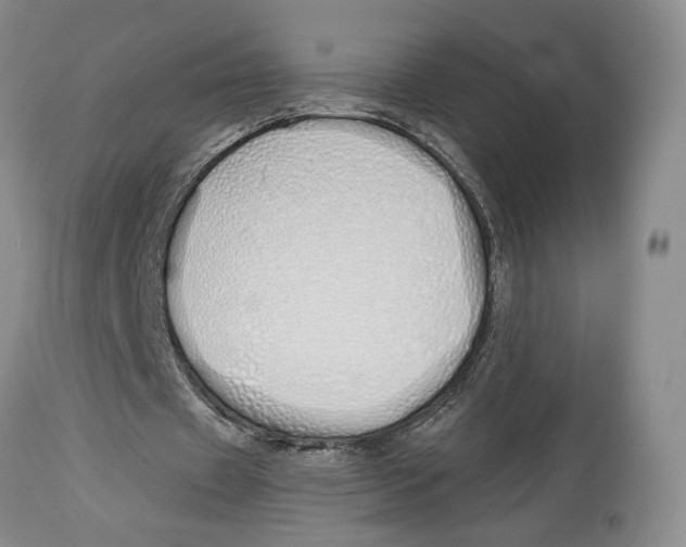 X0000114030433200910231902