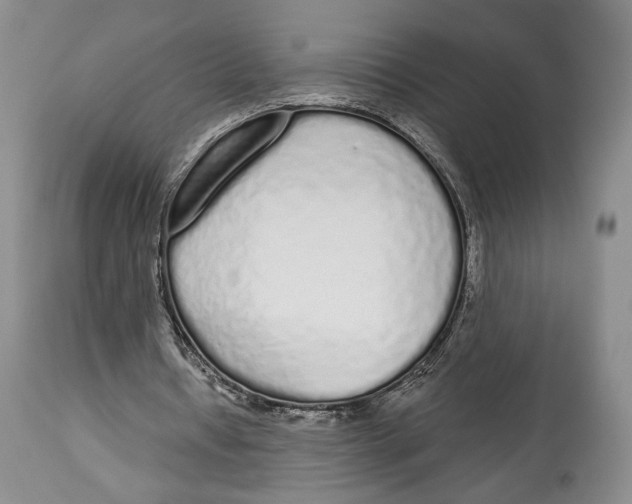 X0000114030434200910231902