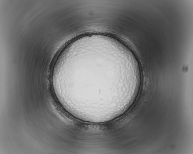 X0000114030439200910231902