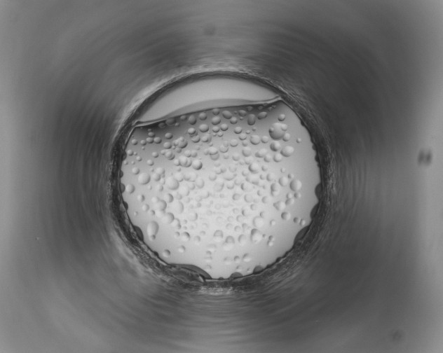 X0000114030440200910231902