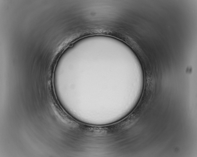 X0000114030443200910231902