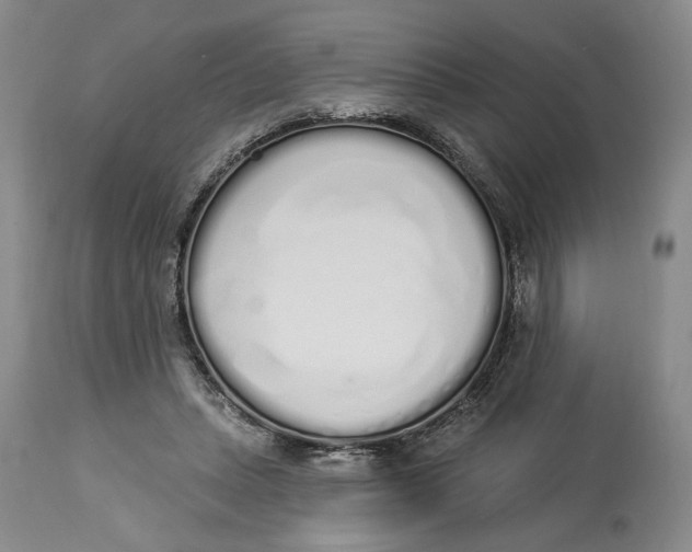 X0000114030447200910231903