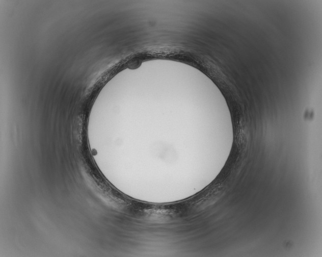 X0000114030448200910231903