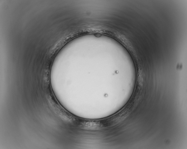 X0000114030449200910231903