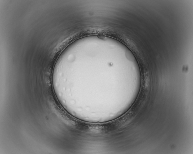 X0000114030450200910231903