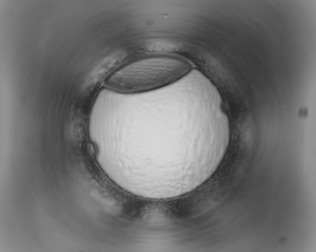 X0000114030452200910231903