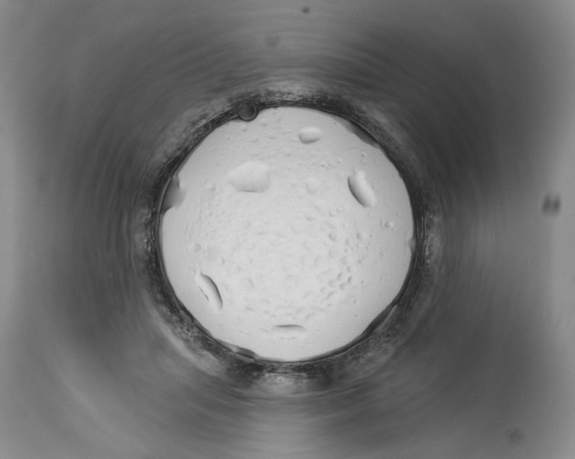 X0000114030455200910231903