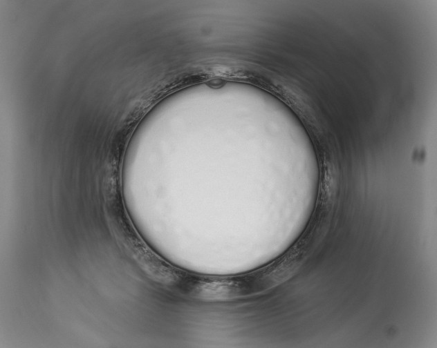 X0000114030461200910231903