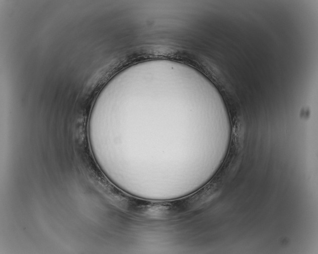 X0000114030462200910231903