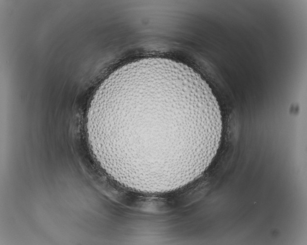 X0000114030463200910231903