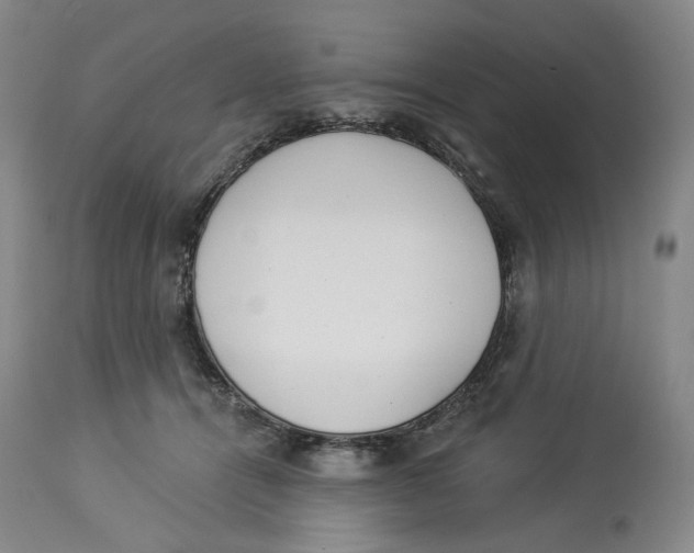 X0000114030464200910231903