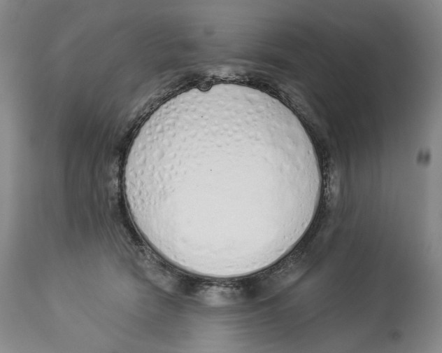 X0000114030466200910231903