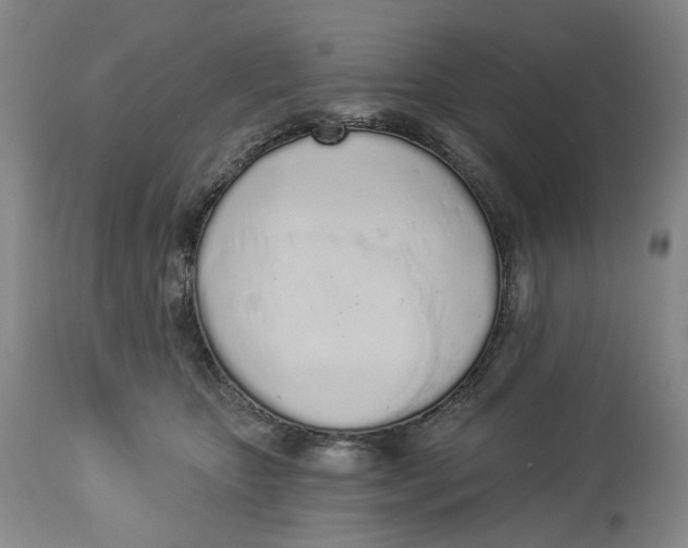 X0000114030467200910231903