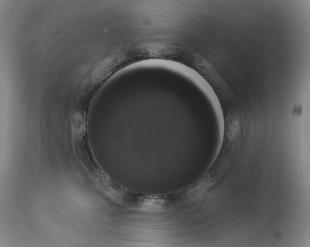 X0000114030471200910231903