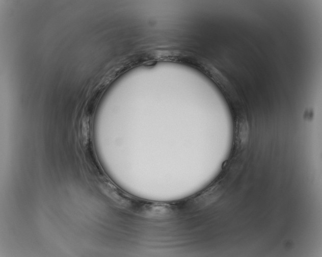 X0000114030475200910231903